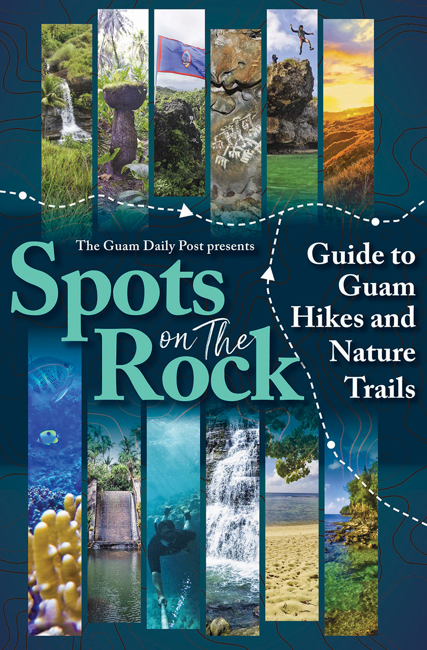 Spots on the Rock book